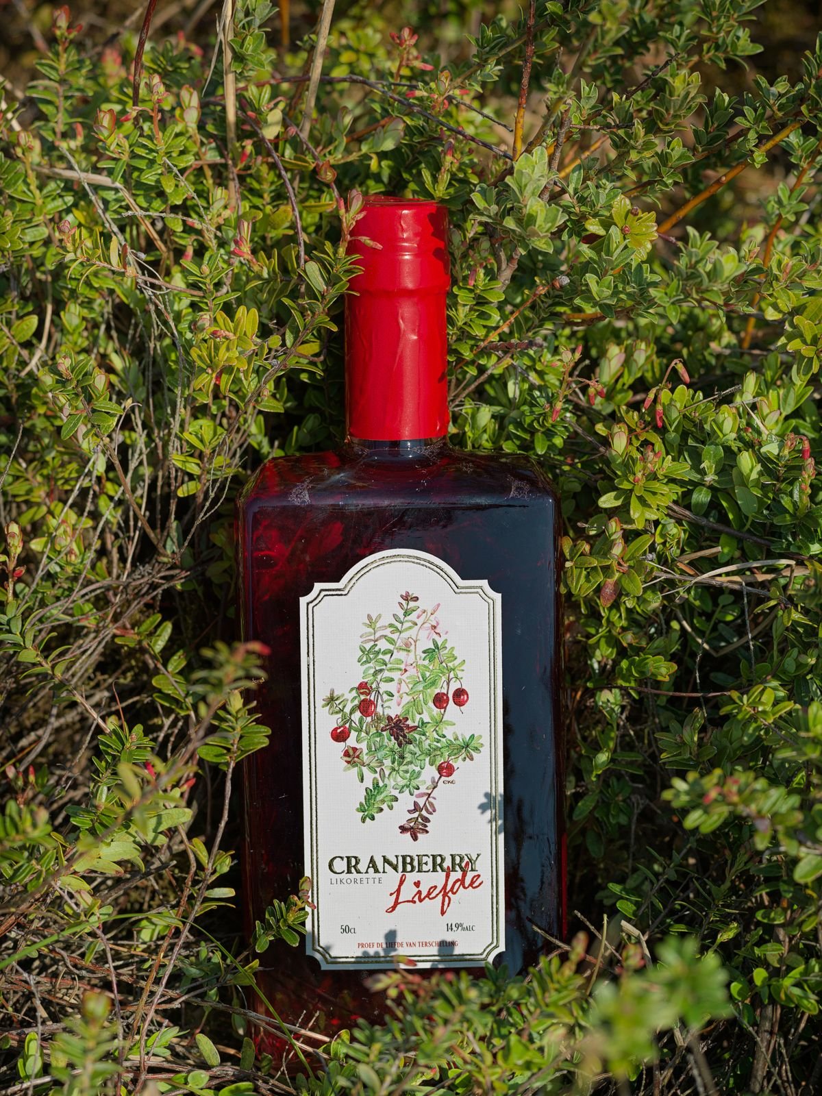 Whisky & Rum Labels 3 — image 20