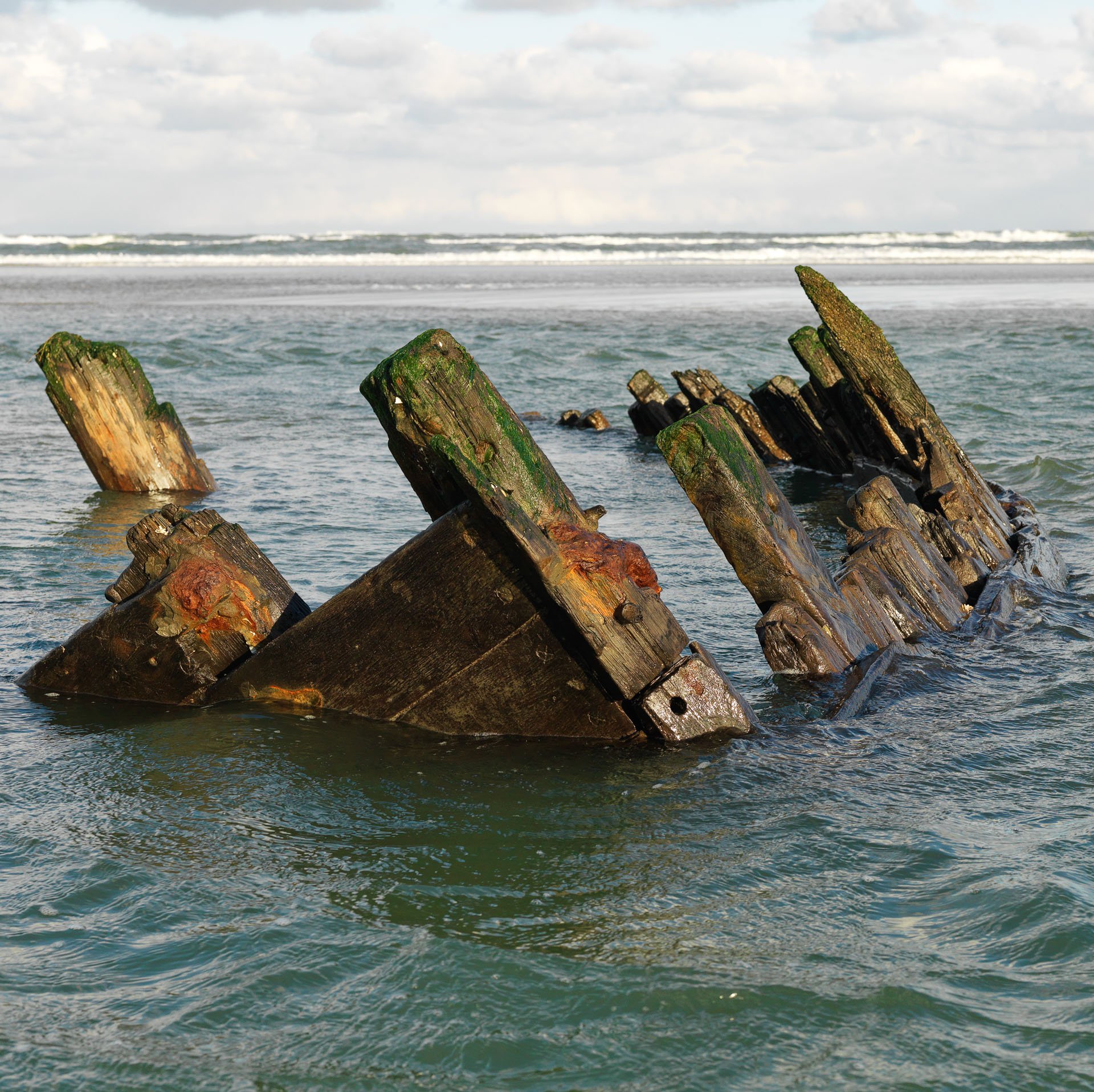 Weathered shipwreck timbers emerging from the sea