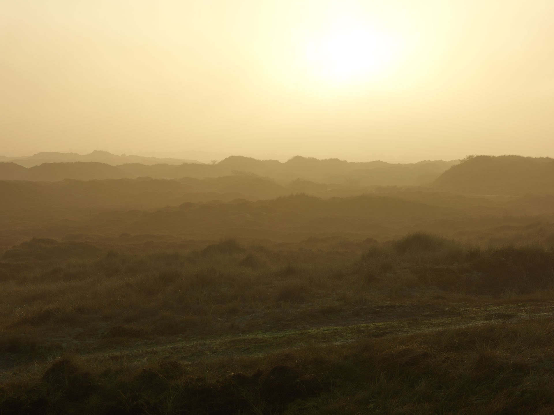 Golden mist over a dune landscape