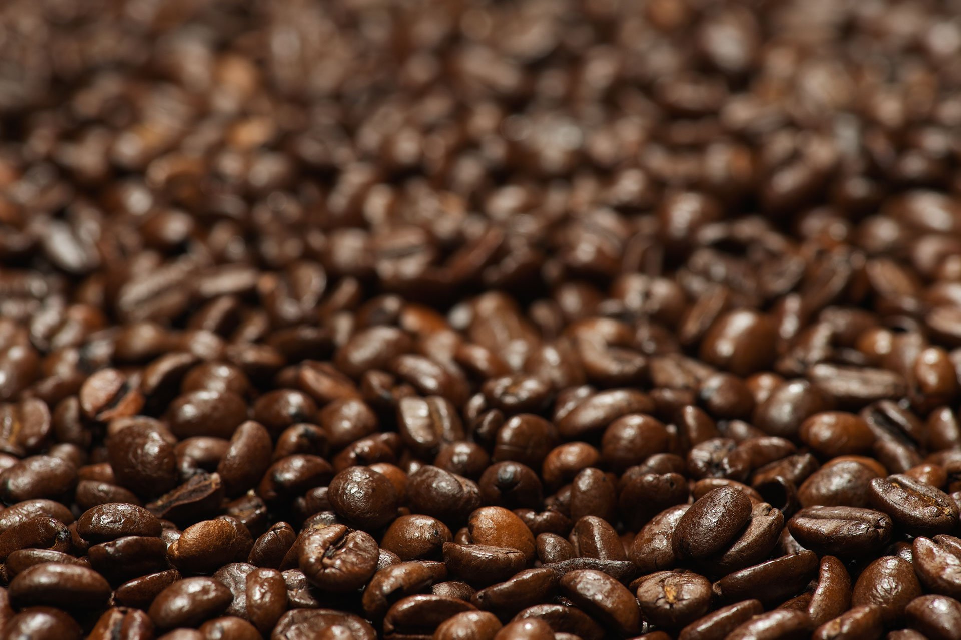 Close-up of roasted coffee beans