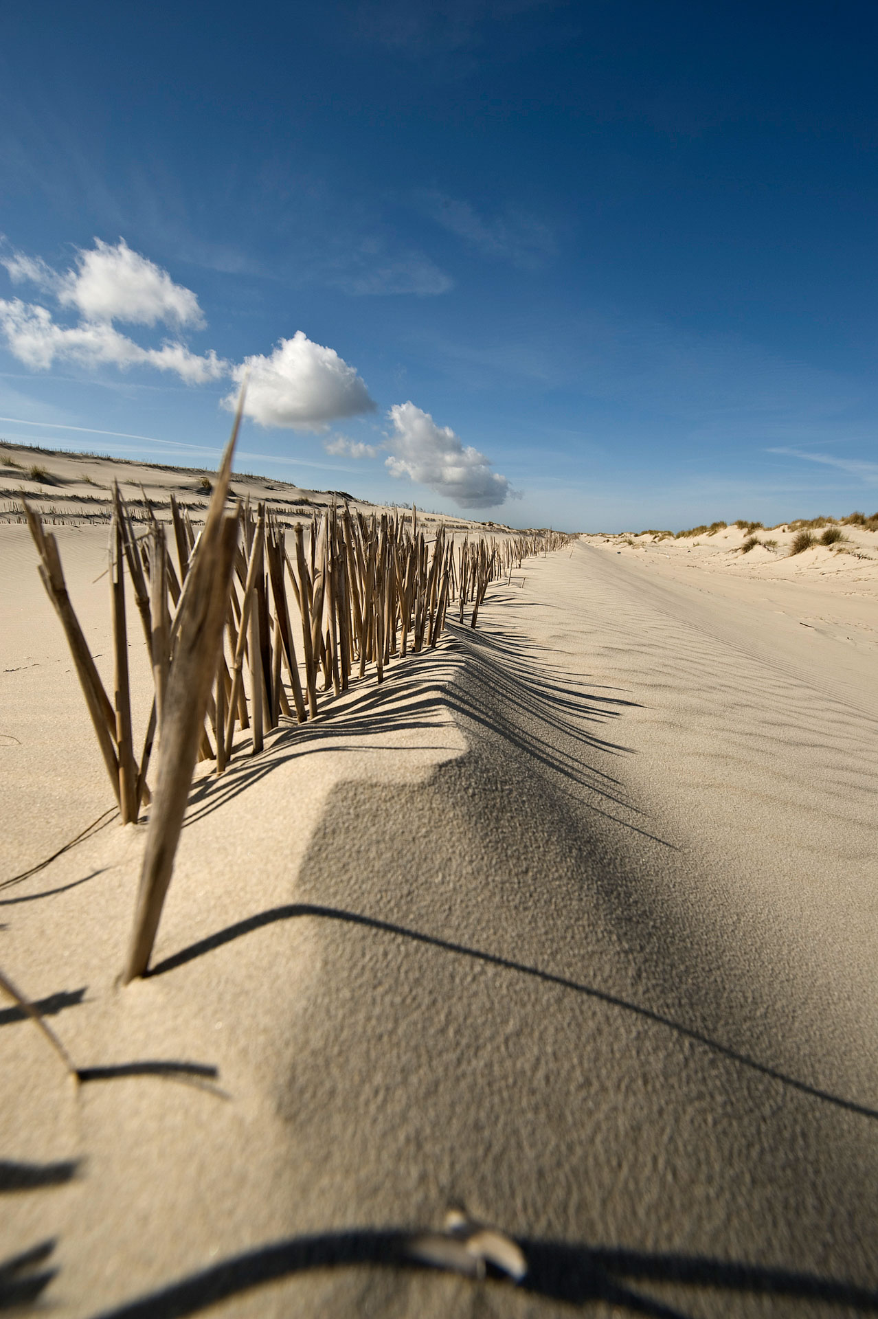 Wooden sand fence casting shadows across the dunes