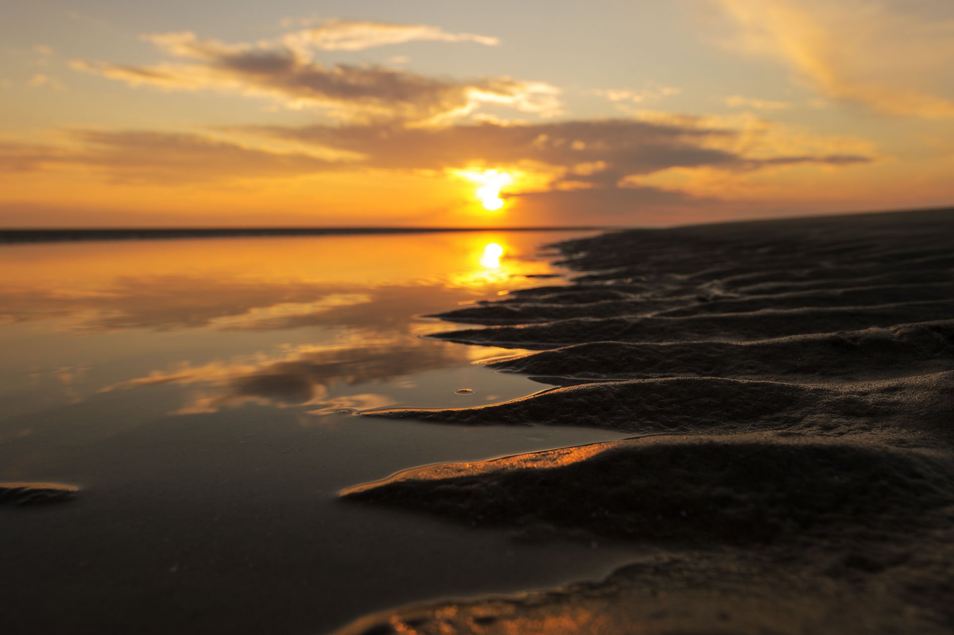Golden sunset reflected between ridges of wet sand